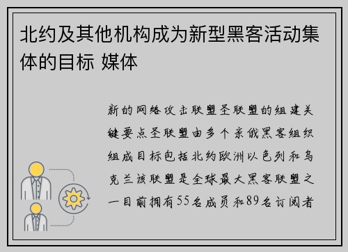 北约及其他机构成为新型黑客活动集体的目标 媒体